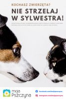 &quot;Nie strzelaj w Sylwestra&quot; 